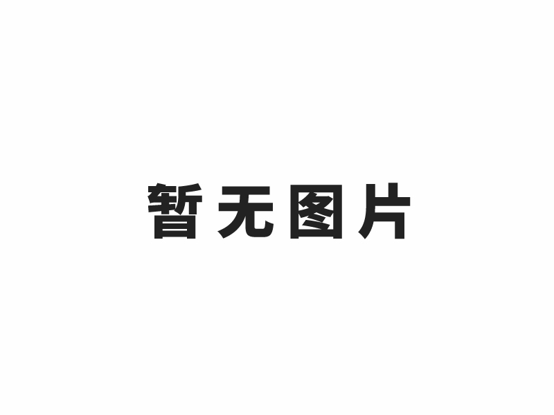 2019廣東鋁加工技術(國際)研討會參觀團與海化科技零距離交流